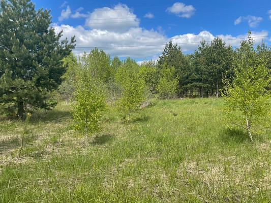 Продам участок 9,87 соток, ИЖС, Сергия Радонежского ул, Раменское г, 0 км от города