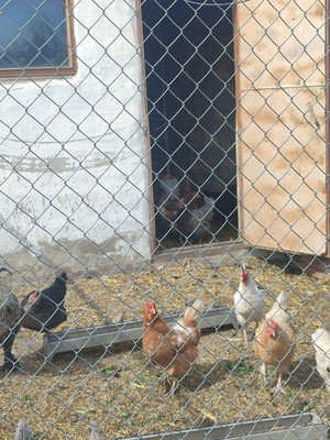 Продам дом, Солнечная ул, 32, Денисовка с, 0 км от города