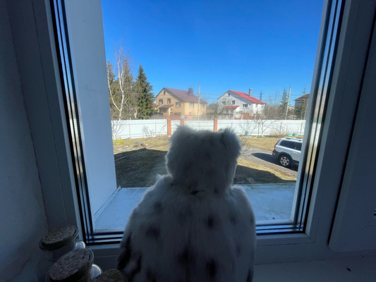 Продам дом, Согласия ул, 18, Новая Мельница д, 0 км от города