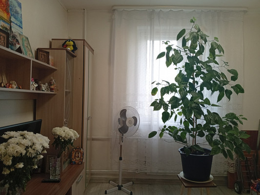 Продам трехкомнатную (3-комн.) квартиру, Стародеревенская ул, 20к2, Санкт-Петербург г