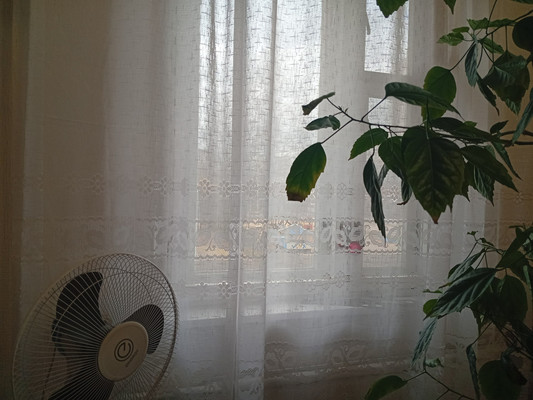 Продам трехкомнатную (3-комн.) квартиру, Стародеревенская ул, 20к2, Санкт-Петербург г