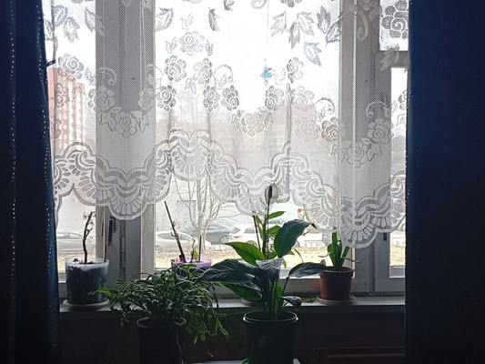 Продам трехкомнатную (3-комн.) квартиру, Стародеревенская ул, 20к2, Санкт-Петербург г