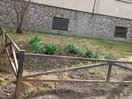 Продам трехкомнатную (3-комн.) квартиру, Стародеревенская ул, 20к2, Санкт-Петербург г