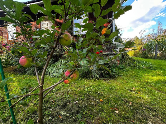 Продам дом, им. А.П.Чехова тер. СНТ, Чепелево д, 0 км от города