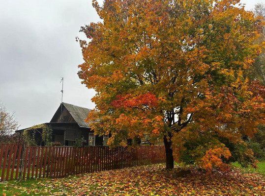 Продам дом, им. А.П.Чехова тер. СНТ, Чепелево д, 0 км от города