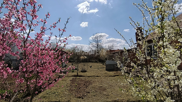 Продам дом, Горького пер, 5, Апшеронск г, 0 км от города