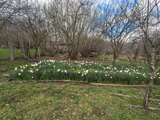 Продам участок 28 соток, ИЖС, Центральная ул, 6, Островская Щель х, 0 км от города