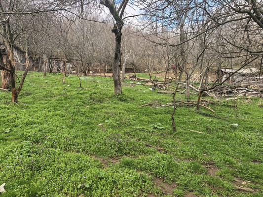 Продам участок 28 соток, ИЖС, Центральная ул, 6, Островская Щель х, 0 км от города