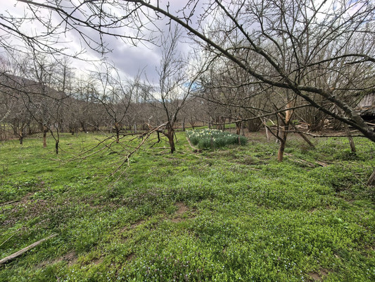 Продам участок 28 соток, ИЖС, Центральная ул, 6, Островская Щель х, 0 км от города