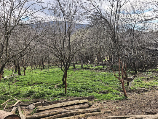 Продам участок 28 соток, ИЖС, Центральная ул, 6, Островская Щель х, 0 км от города