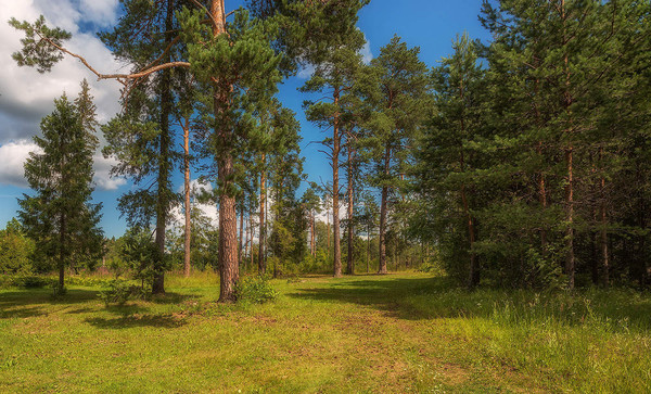 Продам участок 25 соток, ИЖС, Большая Московская ул, Кратово дп, 0 км от города