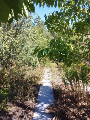 Продам дом, Ростсельмашевец-2 тер. ДНТ, 0 км от города