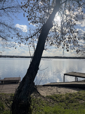 Продам участок 528 соток, ИЖС, Луч ул, Жуковский г, 0 км от города