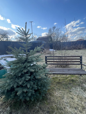 Продам участок 528 соток, ИЖС, Луч ул, Жуковский г, 0 км от города