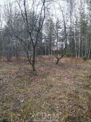 Продам участок 7 соток, СНТ, 1-я линия, Орехово п. ж/д ст., 22 км от города