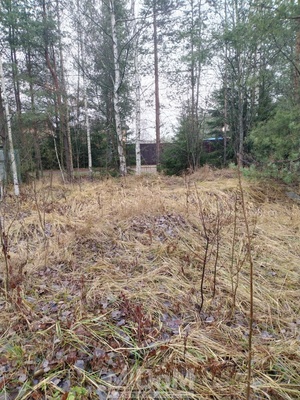 Продам участок 7 соток, СНТ, 1-я линия, Орехово п. ж/д ст., 22 км от города