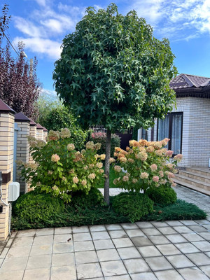 Продам дом, Дачная (Знаменский тер. ДНТ) ул, Краснодар г, 0 км от города