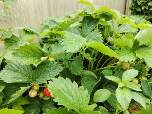 Продам дом, Новоникольское д, 0 км от города