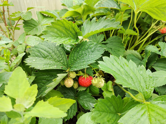 Продам дом, Новоникольское д, 0 км от города