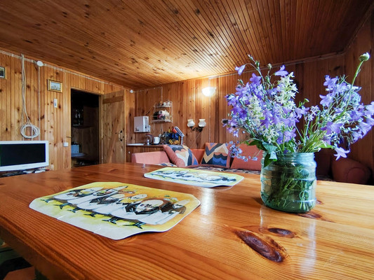 Продам дом, 27, Чеблоково д, 0 км от города