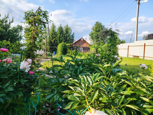 Продам дом, 27, Чеблоково д, 0 км от города