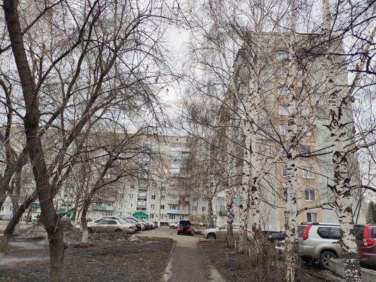 Продам двухкомнатную (2-комн.) квартиру, Новоселов (Дружба тер. СНТ) ул, 12, Новокузнецк г