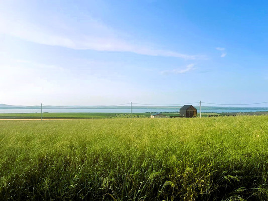 Продам участок 5,4 соток, ИЖС, Вязов ул, Веселовка п, 0 км от города