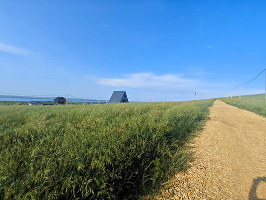 Продам участок 5,4 соток, ИЖС, Вязов ул, Веселовка п, 0 км от города