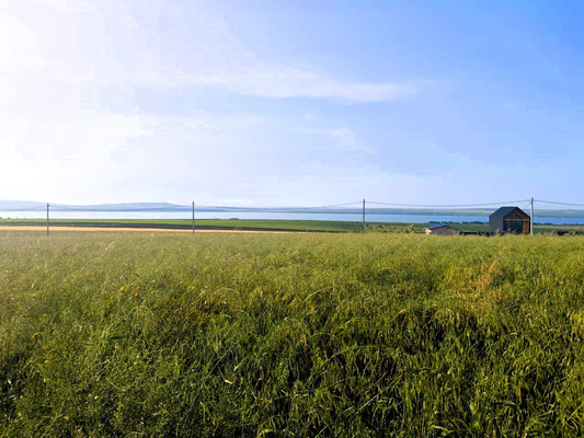 Продам участок 5,4 соток, ИЖС, Вязов ул, Веселовка п, 0 км от города