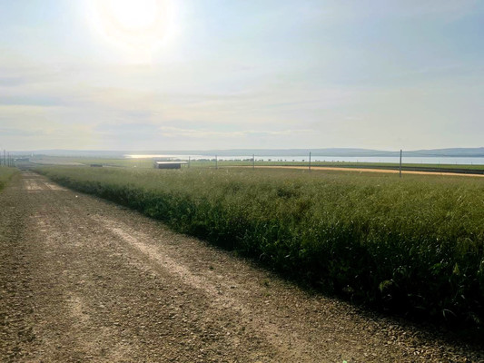 Продам участок 5,4 соток, ИЖС, Вязов ул, Веселовка п, 0 км от города