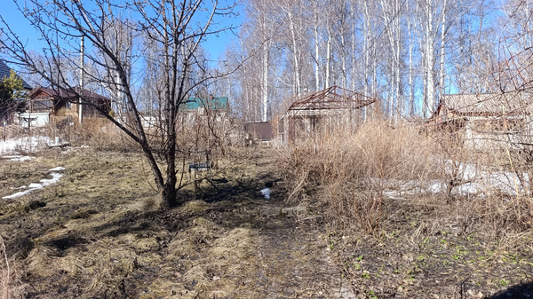 Продам дачу, Беловежская ул, 17, Красноярск г, 0 км от города