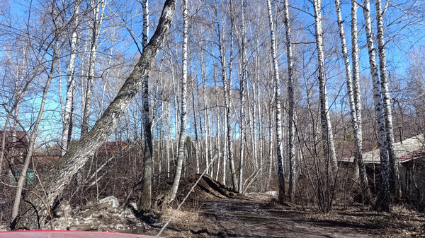 Продам дачу, Беловежская ул, 17, Красноярск г, 0 км от города