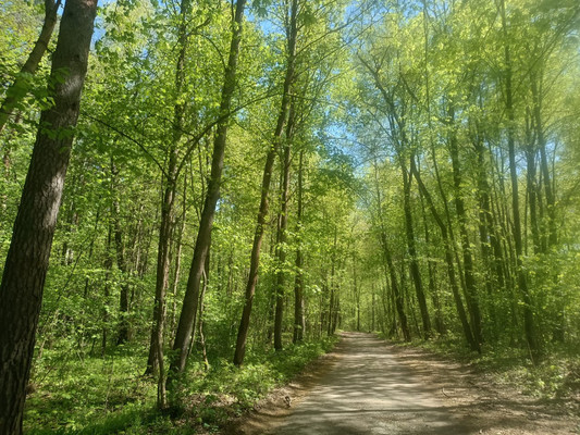 Продам дачу, МТС пер, 67, Ступино г, 0 км от города