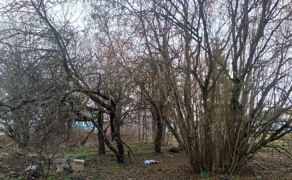 Продам участок 25 соток, ИЖС, Курск д, 0 км от города