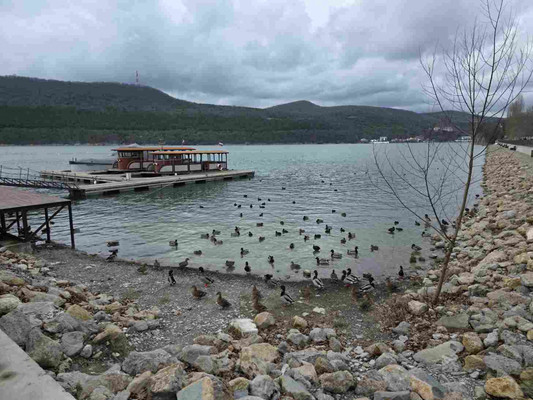 Продам дом, Мира ул, Абрау-Дюрсо с, 0 км от города