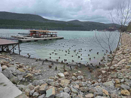 Продам дом, Мира ул, Абрау-Дюрсо с, 0 км от города