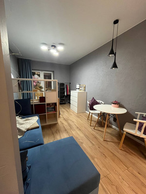 Продам однокомнатную (1-комн.) квартиру, Солидарности пр-кт, 9к3, Санкт-Петербург г