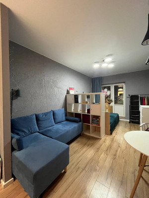 Продам однокомнатную (1-комн.) квартиру, Солидарности пр-кт, 9к3, Санкт-Петербург г