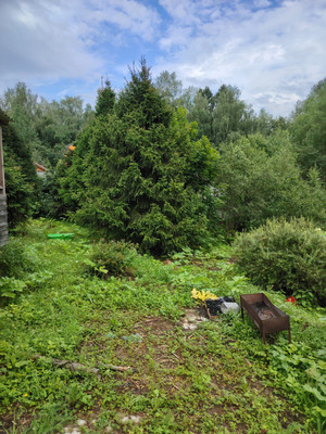 Продам участок 12,6 соток, ИЖС, Шахово д, 0 км от города