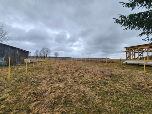 Продам участок 15 соток, ИЖС, Красные Череповицы д, 0 км от города