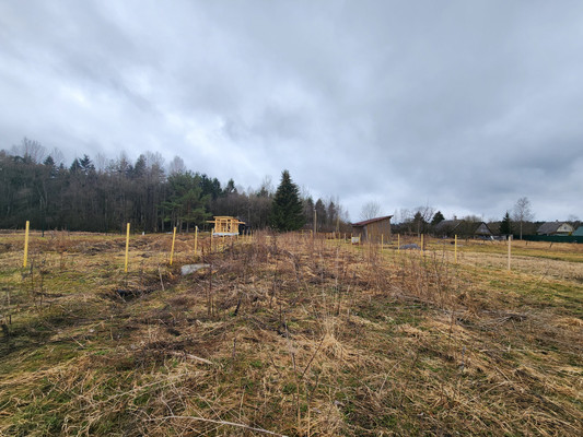 Продам участок 15 соток, ИЖС, Красные Череповицы д, 0 км от города