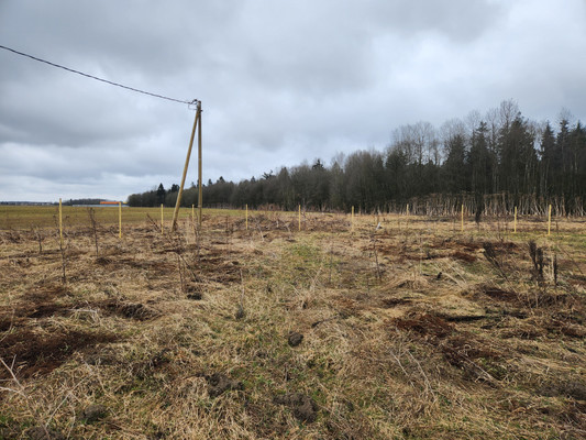 Продам участок 15 соток, ИЖС, Красные Череповицы д, 0 км от города