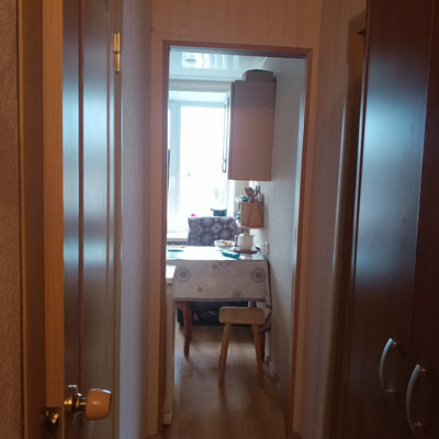 Продам однокомнатную (1-комн.) квартиру, Хохлова ул, 21, Гатчина г