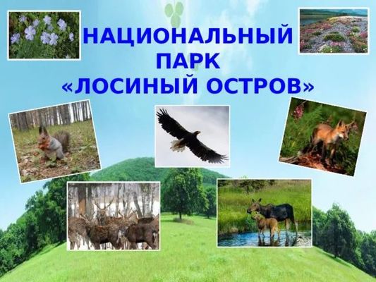 Продам однокомнатную (1-комн.) квартиру, Черницынский проезд, 6к1, Москва г