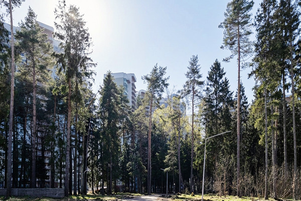 Продам трехкомнатную (3-комн.) квартиру, Игоря Мерлушкина ул, 4, Красногорск г