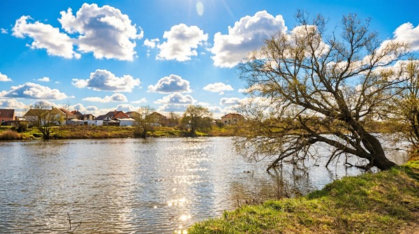 Продам участок 6 соток, Садоводство, ДНП Факел-2 тер, Калиновка д, 0 км от города