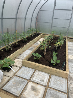 Продам дом, Молодежная (Ромашкино-2 тер. ТСН) ул, 17, Горелово д, 0 км от города