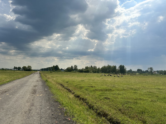 Продам участок 10 соток, ИЖС, Центральная ул, Воскресенское д, 0 км от города