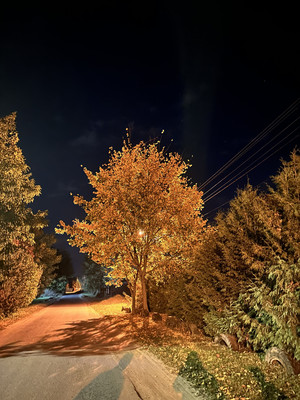 Продам участок 10 соток, ИЖС, Центральная ул, Воскресенское д, 0 км от города