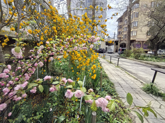 Продам двухкомнатную (2-комн.) квартиру, Шевченко ул, 241, Анапа г